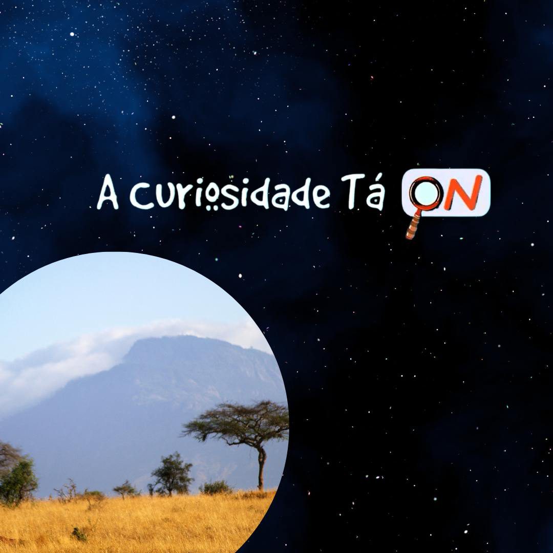 You are currently viewing A Curiosidade tá ON –    A Savana Africana
