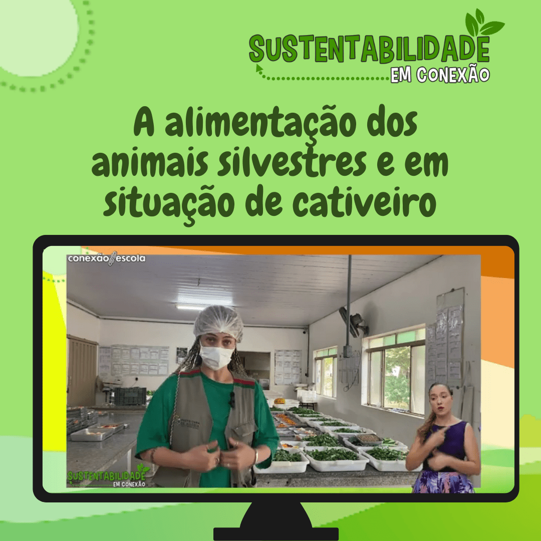 You are currently viewing Sustentabilidade em Conexão – A alimentação dos animais silvestres e em situação de cativeiro