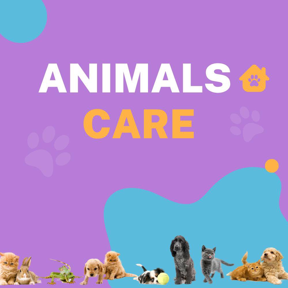 You are currently viewing Língua Inglesa – Animals care