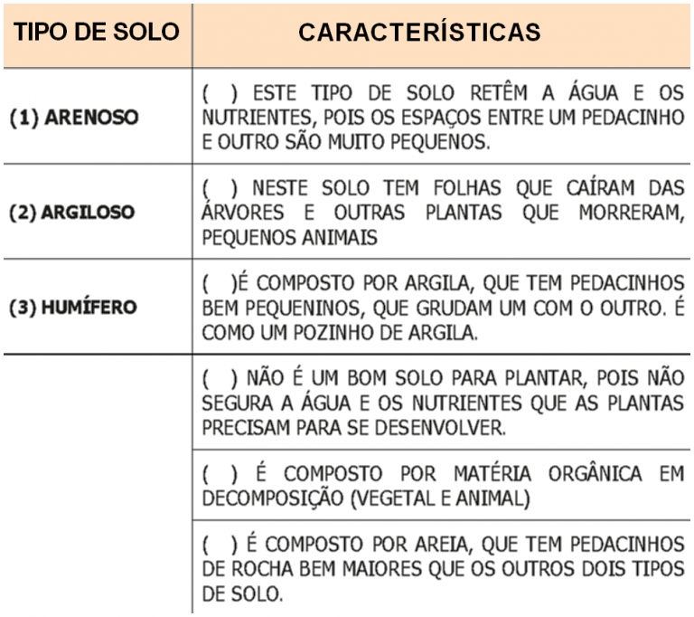 Geografia – Tipos de Solos – Conexão Escola SME